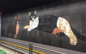 Métro Amsterdam - Chien et chat